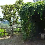 Casa Sarticola Lejlighed