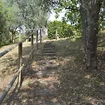 Casa Sarticola Lejlighed