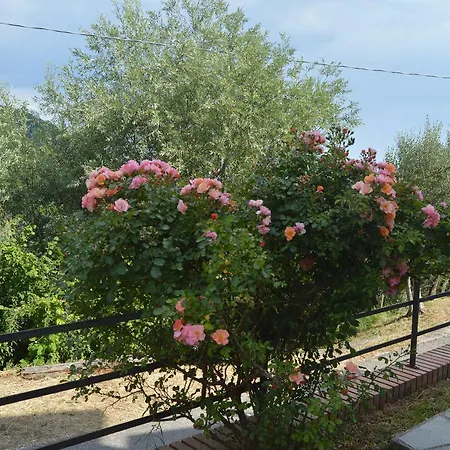 Casa Sarticola * Castelnuovo Magra
