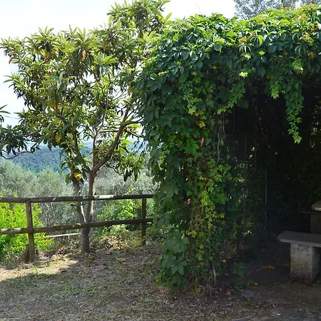 Casa Sarticola Apartment