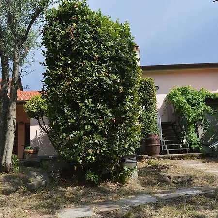 Casa Sarticola *