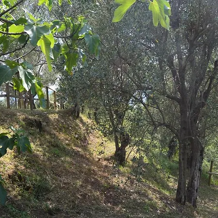 Casa Sarticola