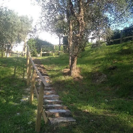 Casa Sarticola *