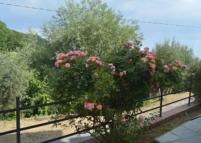 Casa Sarticola * Castelnuovo Magra