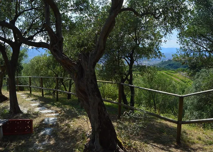 Casa Sarticola 아파트 카스텔누보디마르가