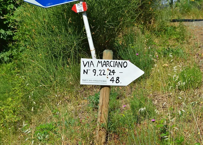 아파트 Casa Sarticola